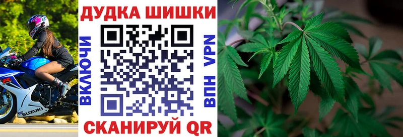 Шишки марихуана планчик  kraken ТОР  Губкин 